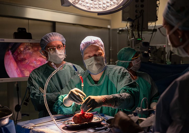 Nierentransplantation an der Charité, Entnahme-OP