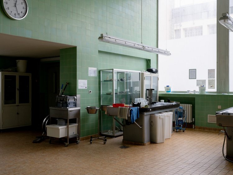 Fachbereich Pathologie, Vivantes