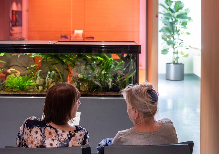 Initiative Rosi – umgestaltete Chemoambulanz in der Frauenklinik der Charité – Universitätsmedizin Berlin